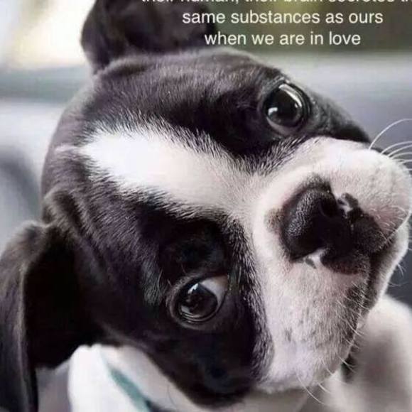 Meet your Posher, Rhonda - Picture 1 of 1